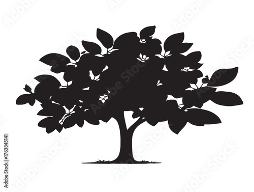 Mahogany tree elegant silhouette icon as sophisticated 2D vector line art