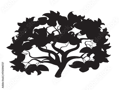Rain tree canopy silhouette vector line art illustration design