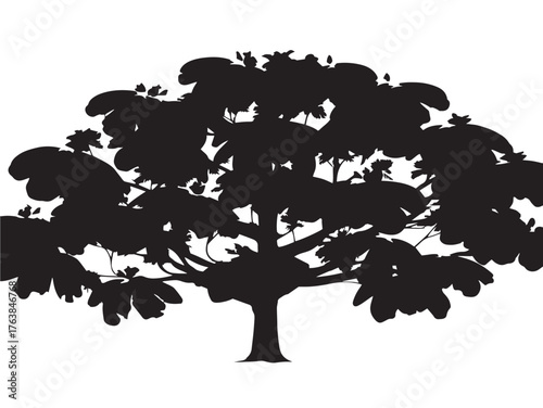 Wide canopy rain tree silhouette vector line art illustration