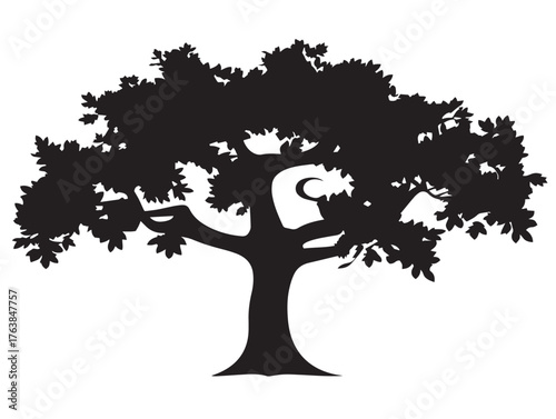 Teak tree sturdy silhouette icon vector illustration solid graphic
