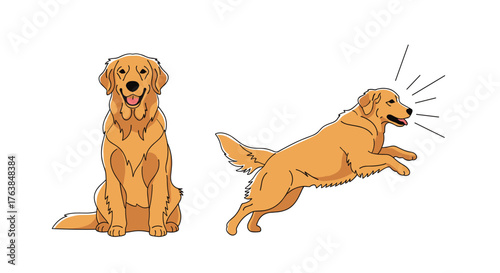 Golden Retrievers - A Portrait of Joy and Playfulness.