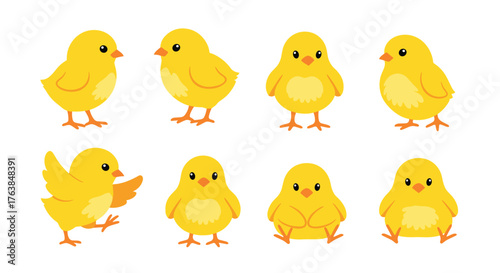 Adorable yellow chicks in various poses on a white background.