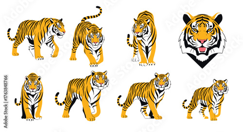 Tiger illustrations collection on white background.