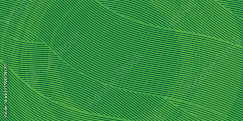 Green farm banner, organic abstract background with fields. eps 10