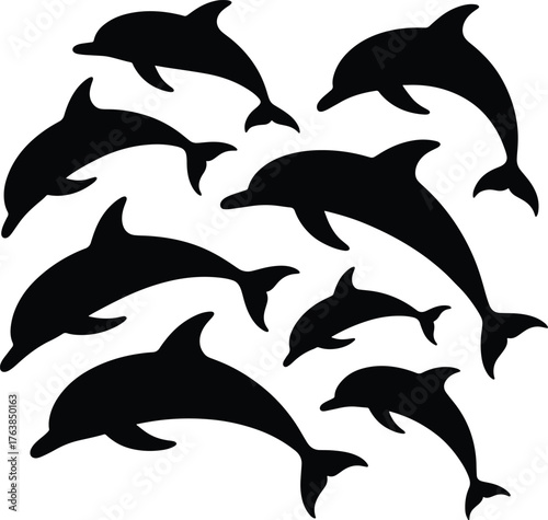 Silhouette of a pod of dolphins swimming in the ocean together