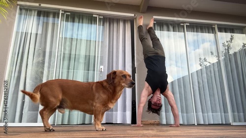 homem junto com cachorro caramelo 