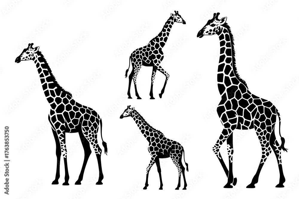 Obraz premium giraffe vector illustration