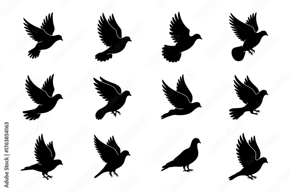 Fototapeta premium A collection of 12 distinct black dove silhouettes, depicted in various flight, landing, and standing poses, arranged in a grid on a white background.