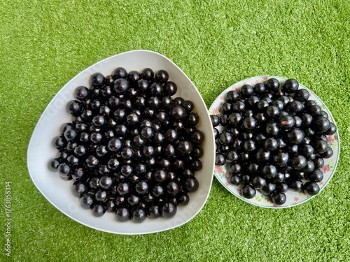 Jabuticabas frescas e brilhantes, colhidas do pé, exibem toda a riqueza e o sabor autêntico do Brasil. Frutas tropicais cheias de cor, frescor e natureza em cada detalhe.