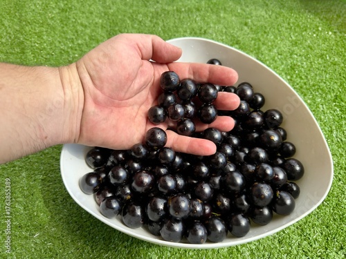 Jabuticabas frescas e brilhantes, colhidas do pé, exibem toda a riqueza e o sabor autêntico do Brasil. Frutas tropicais cheias de cor, frescor e natureza em cada detalhe.