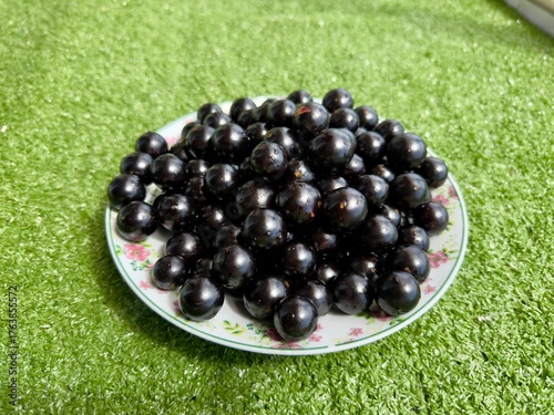 Jabuticabas frescas e brilhantes, colhidas do pé, exibem toda a riqueza e o sabor autêntico do Brasil. Frutas tropicais cheias de cor, frescor e natureza em cada detalhe.