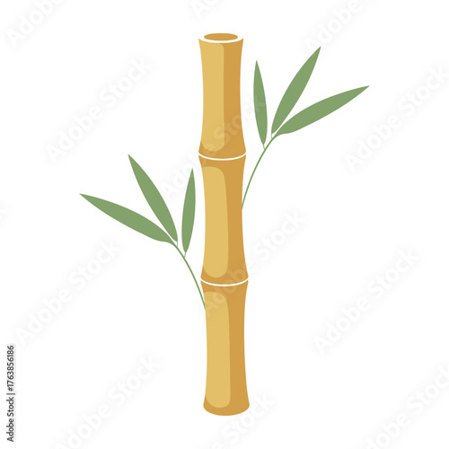 Isolated bamboo stalk with leaves for oriental or asian design, vector illustration