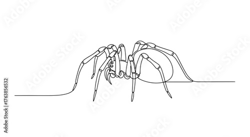 Line art illustration of a spider crawling on a surface  