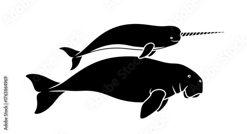 black narwhal and manatee swimming together clip art preview