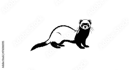 Ferret in Profile A Striking Black and White Portrait.