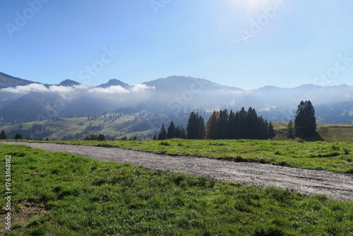 Ein Wanderweg verläuft auf dem Imberg in Oberstaufen in den Allgäuer Alpen. Von dort sind Nadelbäume, die Hochgratkette und davor Nebel zu sehen. Es ist ein sonniger Herbsttag in den Alpen.