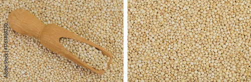 Obraz na płótnie background of sorghum seeds with wooden scoop
