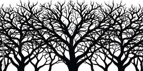 Dense forest canopy of bare winter trees creating a striking black silhouette against a white background