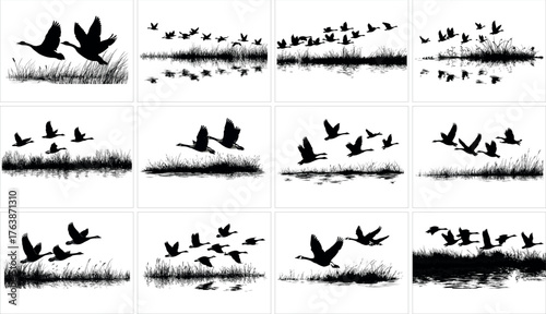 Collection of flying geese silhouettes over water isolated on white background