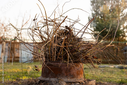 Dry branches in old rusty pot on background of autumn landscape