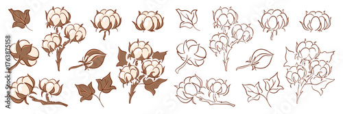 Hand drawn cotton plant set with bolls, leaves and branches in line art style isolated on white background for textile, botanical and decorative design.