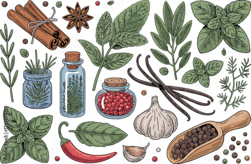 This image showcases a detailed arrangement of various spices and herbs, including cinnamon sticks, star anise, rosemary, basil, sage, vanilla pods, red pepper, garlic, and peppercorns. 