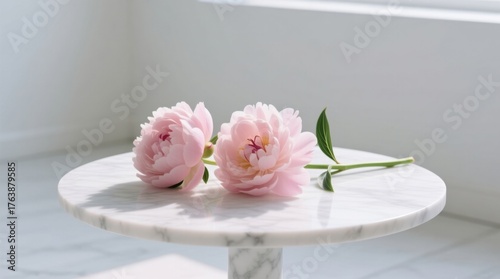 Fototapeta Naklejka Na Ścianę i Meble -   two pink peonies sitting atop a white marble table, with a wall in the background