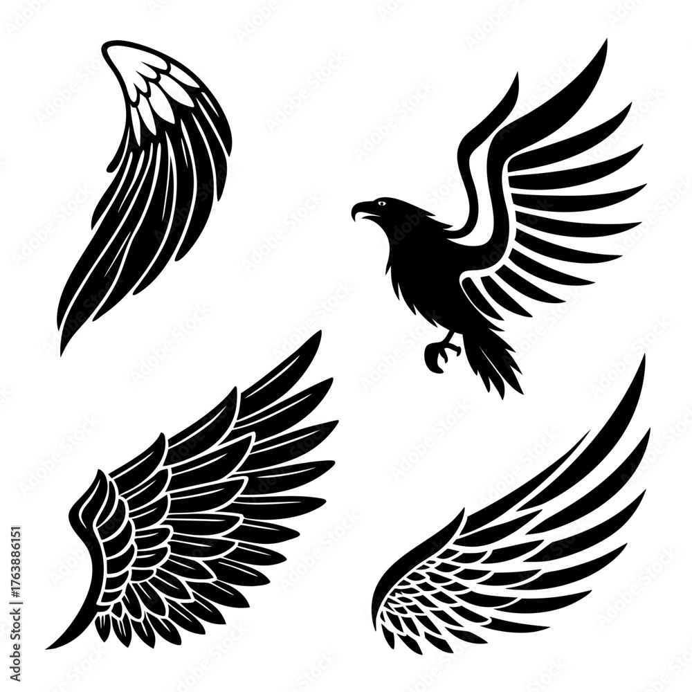Fototapeta premium Vector art of collection of eagle and wings silhouette for design element
