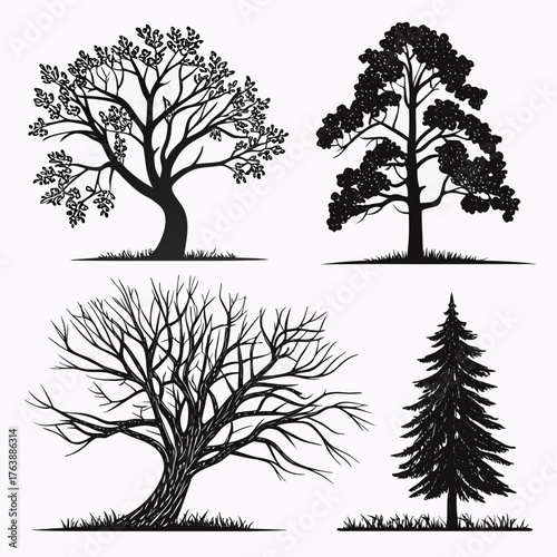 Vector art of four different trees, vector illustration, various species