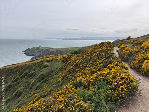 Lighthouse and bay viewpoint in Howth, Ireland. 