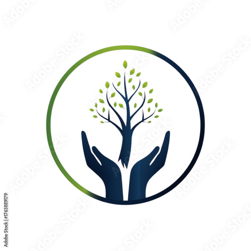 Collection of various potted houseplants in different colorful pots