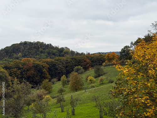 Autumn Hillside Landscape with Colorful Forest and Green Meadow