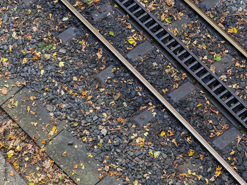 Close-up of Railway Tracks with Autumn Leaves