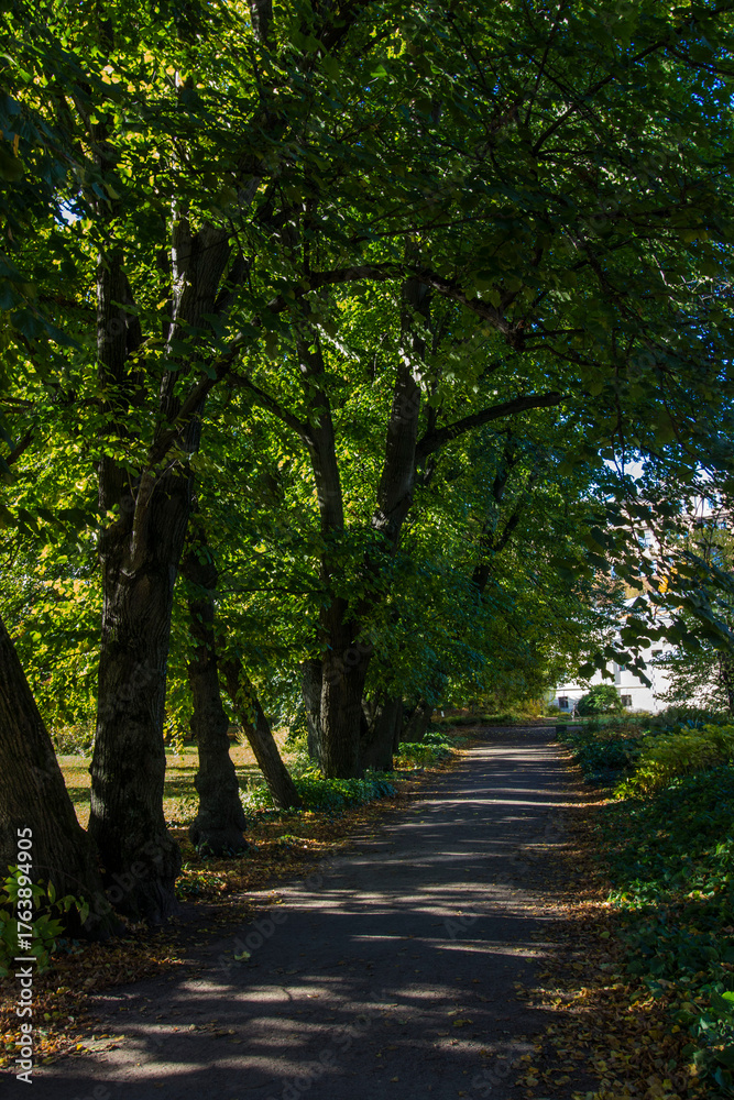 Naklejka premium landscape of an autumn park. red and yellow leaves. autumn landscape. autumn nature. early autumn. space for text and free space. screensaver