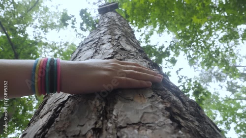 Female Hand Touching and Stroking Bark of Pine Tree in Forest. Hand Touching Old Majestic Oak Tree. Harmony Calm Relaxation. Save Earth Green Planet. Woman Hand Touching Tree Bark Feeling Texture Wood
