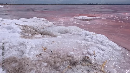 Kuialnyk Estuary, salt Sodium chloride crystallized on the bottom of a drying estuary