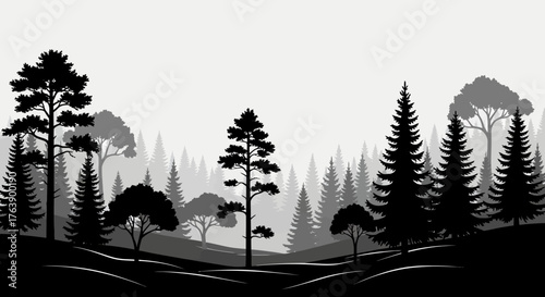 Serene forest landscape with layered evergreen trees creating a peaceful, natural ambiance perfect for tranquility and escape