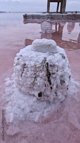 Kuyalnik Estuary, table salt crystallized on old wooden piles and on the bottom of a drying estuary
