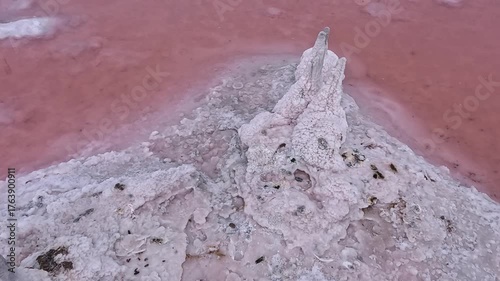 Kuyalnik Estuary, table salt crystallized on old wooden piles and on the bottom of a drying estuary