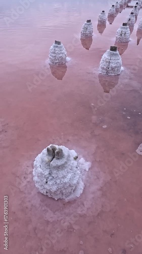 Kuyalnik Estuary, table salt crystallized on old wooden piles and on the bottom of a drying estuary