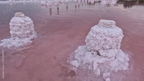 Kuyalnik Estuary, table salt crystallized on old wooden piles and on the bottom of a drying estuary