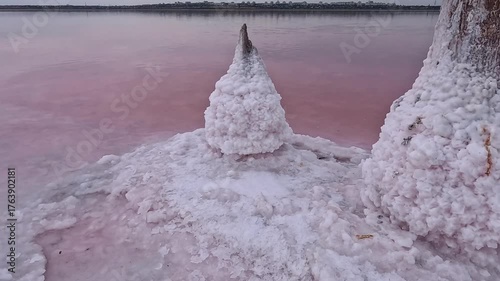 Kuyalnik Estuary, table salt crystallized on old wooden piles and on the bottom of a drying estuary