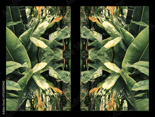 Tropical foliage arranged in diptych mirrored layout