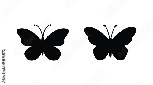 Two silhouette butterflies delicate winged insects isolated artistic natural beauty enchanting creatures gentle fluttering flight