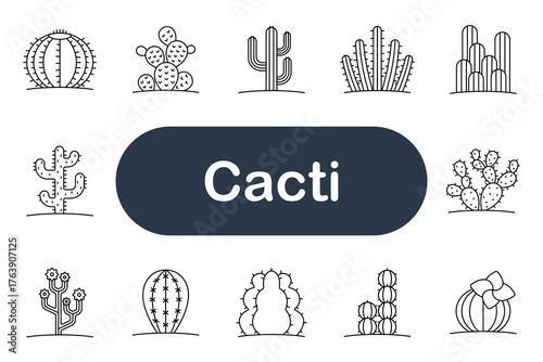 Cacti set icon. Various species of cactus plants with different shapes and spines.