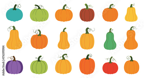 Colorful pumpkins collection for autumn season and harvest festival.