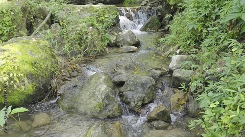 Serene Stream Flowing Through Lush Greenery in a Peaceful Natural Setting