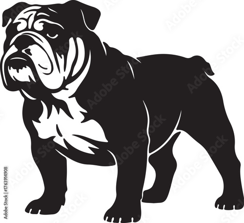 Black silhouette of a standing bulldog with muscular build and wrinkled face on a white background animal on transparent background