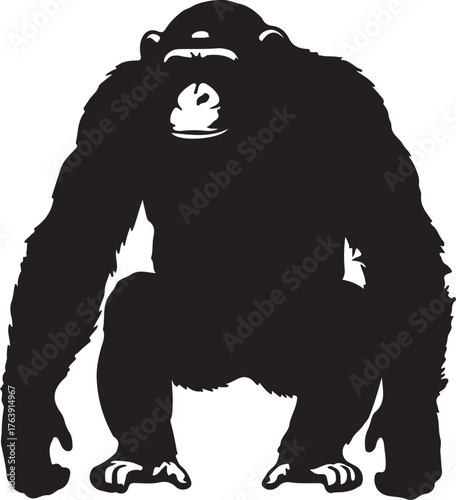 Silhouette of a chimpanzee crouching on a white background monkey primate on transparent background