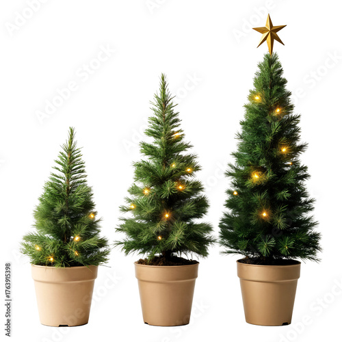Three small christmas trees with a gold star on top of them.
